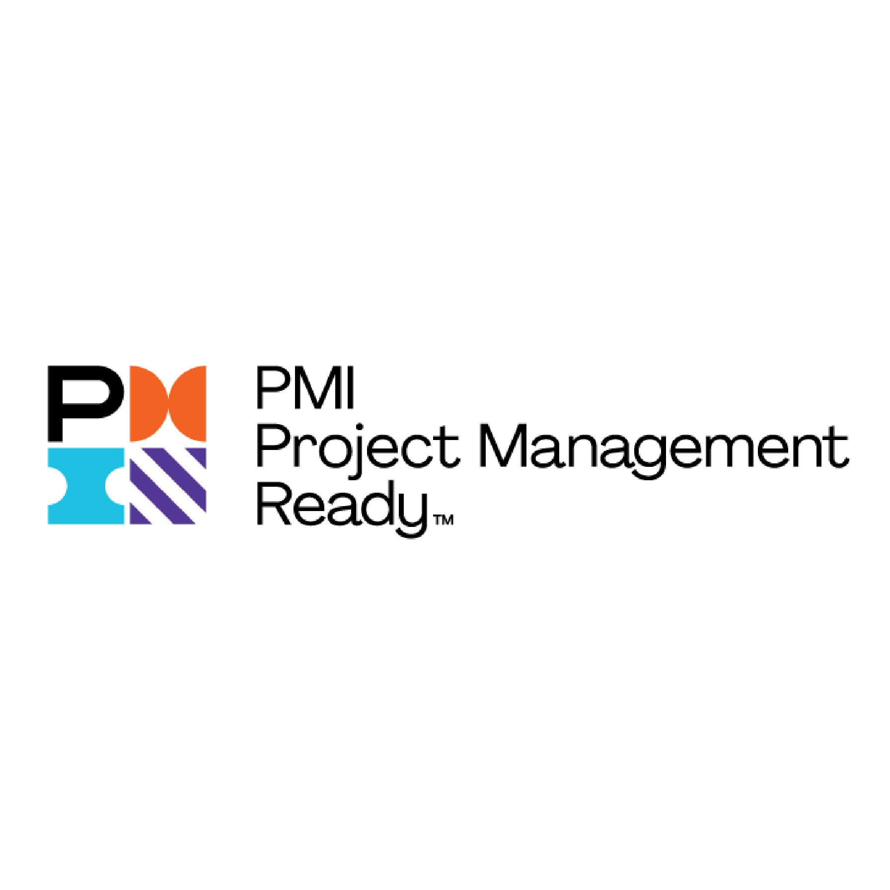 The PMI Project Management Ready® 